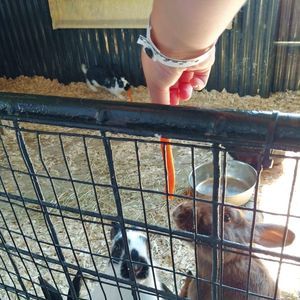 Meet your Posher, Kimberly